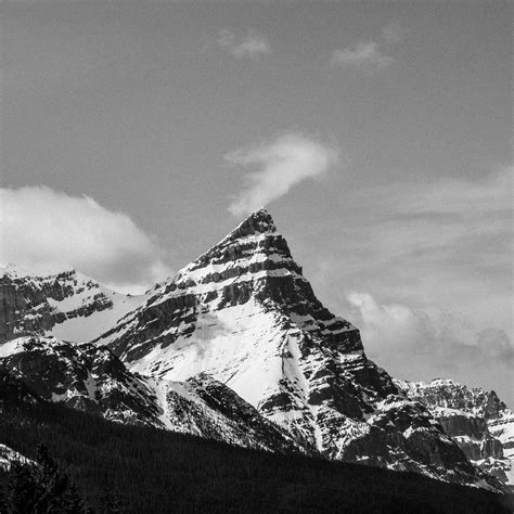 Crossing into Canada on Behance