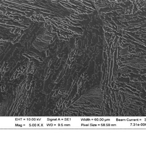 Bainitic-martensitic microstructure of 1.5Al3Mn steel after forging ...