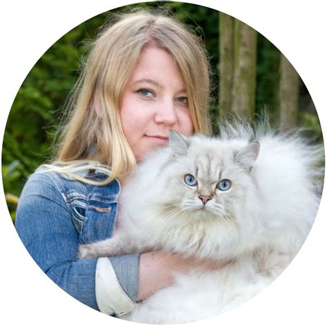 Recenzja: Zooplus Bio mokra karma dla kota » Apollo Fluffy Cat | Blog o ...