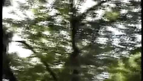 Les Copines Font Leur Cinema 5 Free European Porn Video 84 XHamster