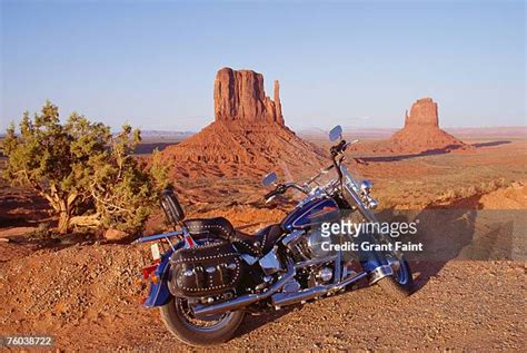 672 Motorcycle Arizona Stock Photos High Res Pictures And Images