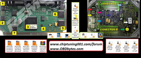 ecu schematic circuit diagrams  ecu info pinouts connections boot