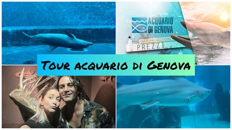 Vi Porto All Acquario Di Genova Come Risparmiare Sul Biglietto Vlog