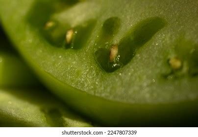 tomato  images stock  vectors shutterstock