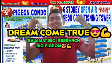 01 Grabe Sobrang Daming Kalapati Sa Bio Research Bio Pigeon YouTube