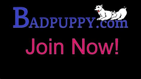 Badpuppy Videos XVIDEOS