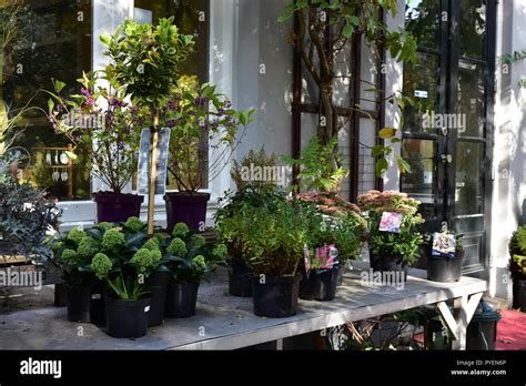 Garden shop Stock Photo - Alamy