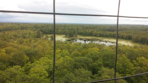 Itasca State Park Park Rapids Mn Dilettante Requiem Of Chaos