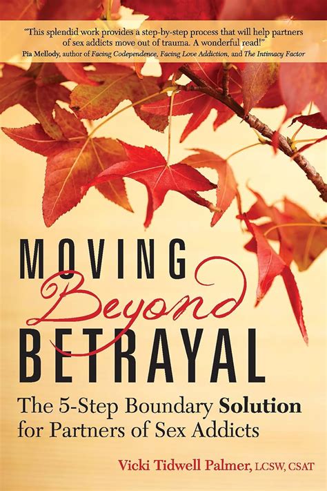 Moving Beyond Betrayal The Step Boundary Solution For Partners Of Sex Addicts Palmer Vicki