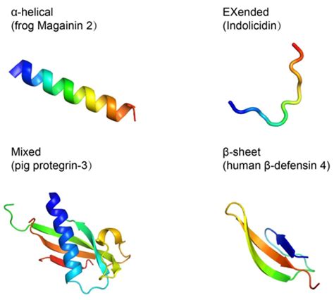 Antimicrobial Peptides Services - Profacgen