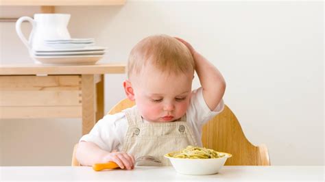 Two Nutritious Meal Plans for 1 Year Old Babies | New Health Advisor