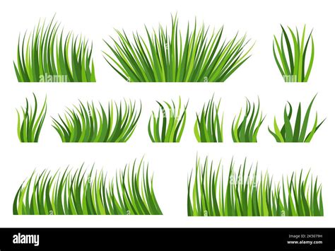 Green Grass Natural Organic Lawn Flat Set Different Shape Spring Herbal Turf On White