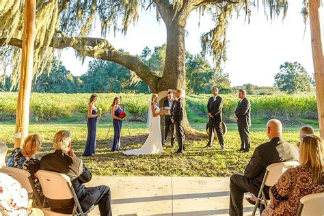 Whispering Oaks Winery Barn And Farm Weddings Oxford Fl Weddingwire