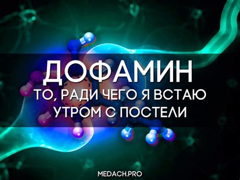 Дофамин. То, ради чего я встаю утром с постели.
