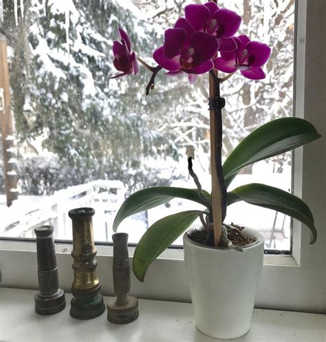 Vintage Garden Hose Nozzle Collection Set Of 3 Etsy