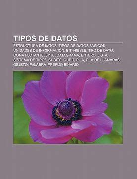 Libro Tipos De Datos Estructura De Datos Tipos De Datos B Sicos