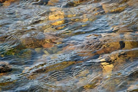 Reducing Water Temperature - Catchment Restoration Initiative