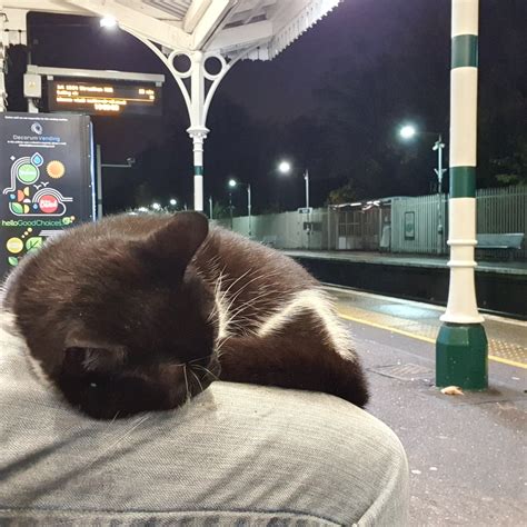 New train cars will soon stop at the gipsy hill station 18