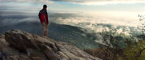 Book the Best PET FRIENDLY Hotels in Charlottesville, VA from CA $114 ...