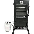 Masterbuilt 2 Door Propane Smoker Review 2019