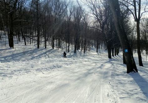 How to Experience Montreal in Winter on a Boomer Travel Adventure