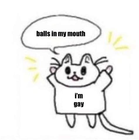 Smol Cat Balls In My Mouth Balls In My Mouth I M Gay Know Your Meme