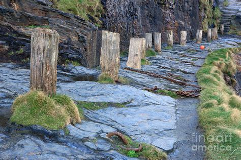 Bollards Of Wood Photograph By Paul Felix