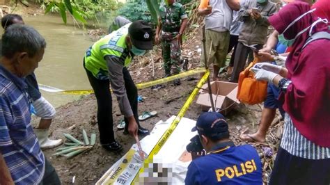 Bayi Siapa Tersangkut Di Ranting Bambu Regional Liputan