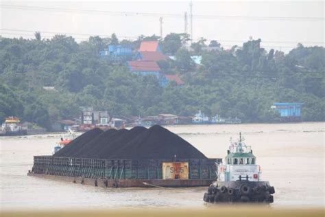 Berkat Royalti Batubara Pnbp Minerba Capai Rp Triliun Ilmu