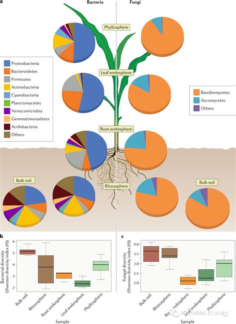 最新Nature综述植物与微生物互作从群落构建到植物健康 学术资讯 科技工作者之家