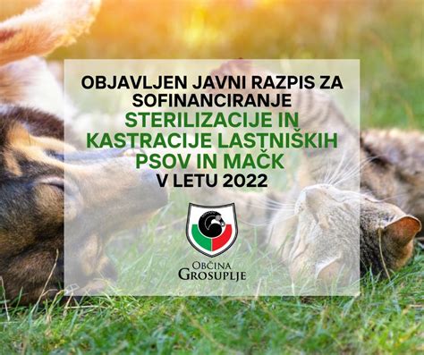 JAVNI RAZPIS za sofinanciranje sterilizacije in kastracije lastniških