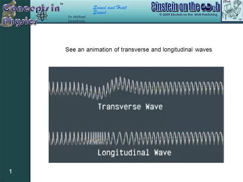 Transverse Wave Animation
