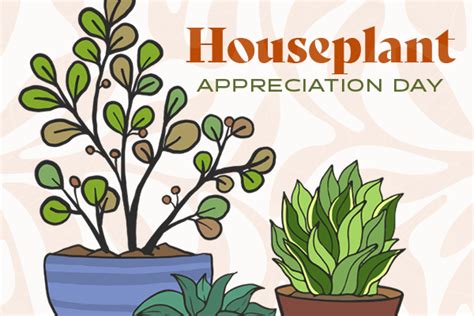 Houseplant Appreciation Day Alachua County Library District