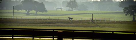 Iconic Horse Farms Bridlewood Farm Showcase Ocala 2023