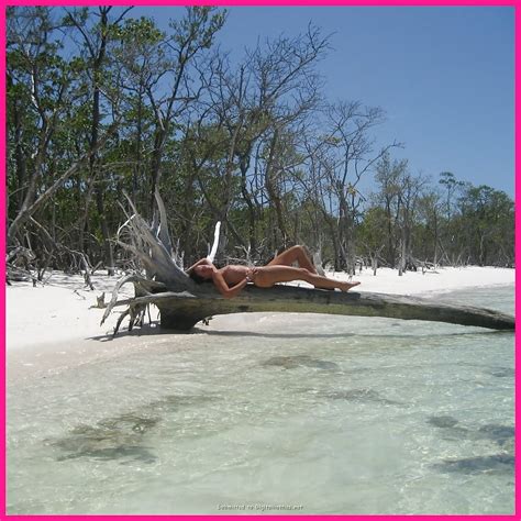 Amsterdam Hardcore Photo X Vid