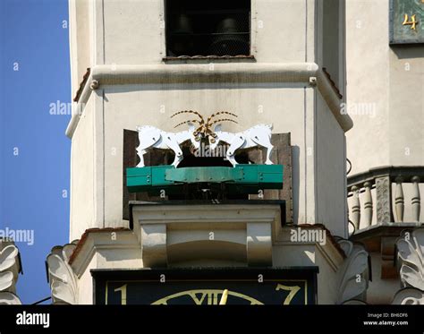 12 O Clock Goats And Tower Clock On Town Hall Old Market Square