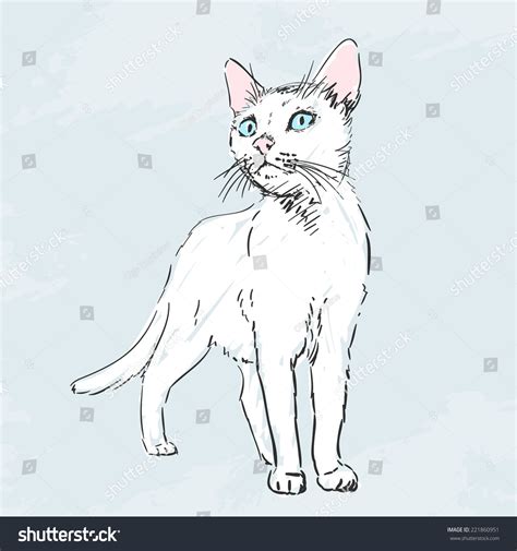 White Pussy Cat Sketch Hand Drawn Stock Vector Royalty Free Shutterstock