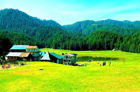 Deodar Forest Himachal Pradesh