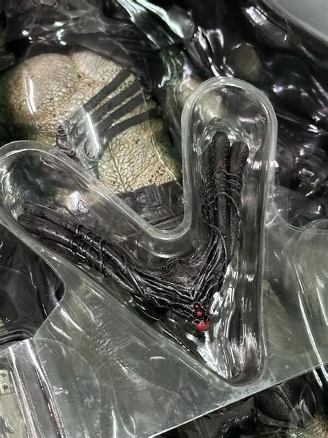 退坑出清 Hot Toys MMS 終極戰士團 飼鷹 Falconer 非遠古 始祖 刀疤 鬼面 狂戰 露天市集 全台最大的網路購物市集