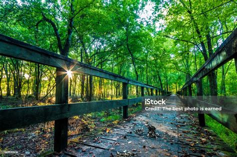 Natchez Trace Hiking Stock Photo - Download Image Now - Footpath ...
