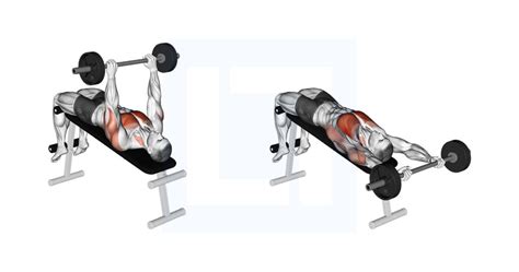 Dumbbell Fly - Guide, Benefits, and Form