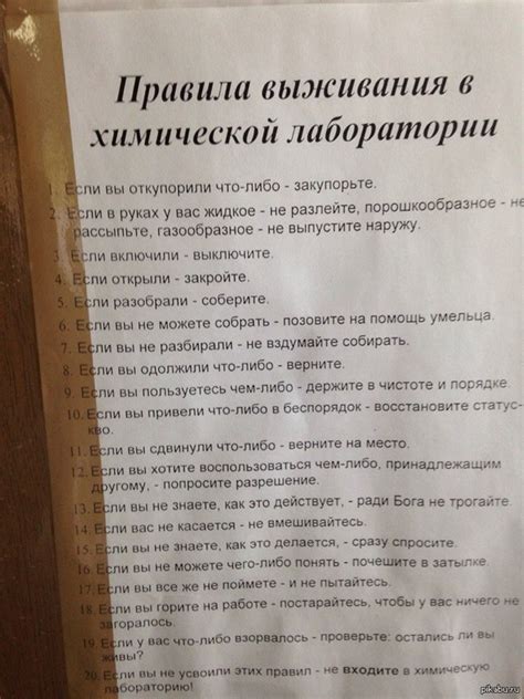 Правила выживания | Пикабу