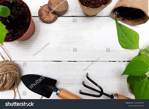 pot  ground images stock  vectors shutterstock