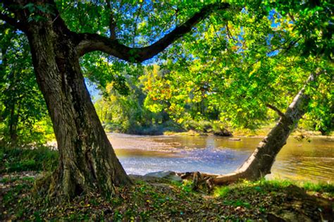 Photo Of The Week Gentle Morning Chadds Ford Live