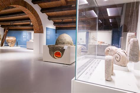 Verona Inaugurata L Intera Sezione Preistorica Del Museo Archeologico