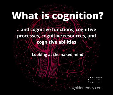 Cognition 101 Executive Functions Cognitive Processes Abilities