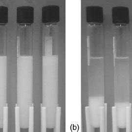 Flocculation In Mixtures Of PA And Cement 0 3 G A Immediately