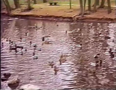 Porsche Lynn Porn Videos Porn Star Sex Scenes XHamster