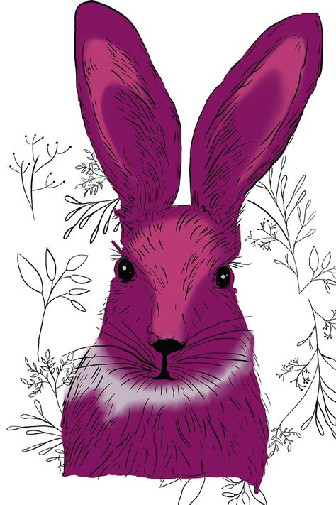 50000 Free Bunny Drawing And Bunny Images Pixabay