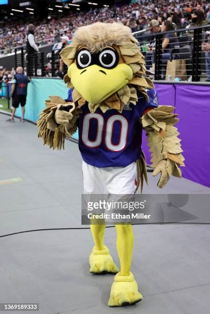 Freddie Falcon Photos and Premium High Res Pictures - Getty Images